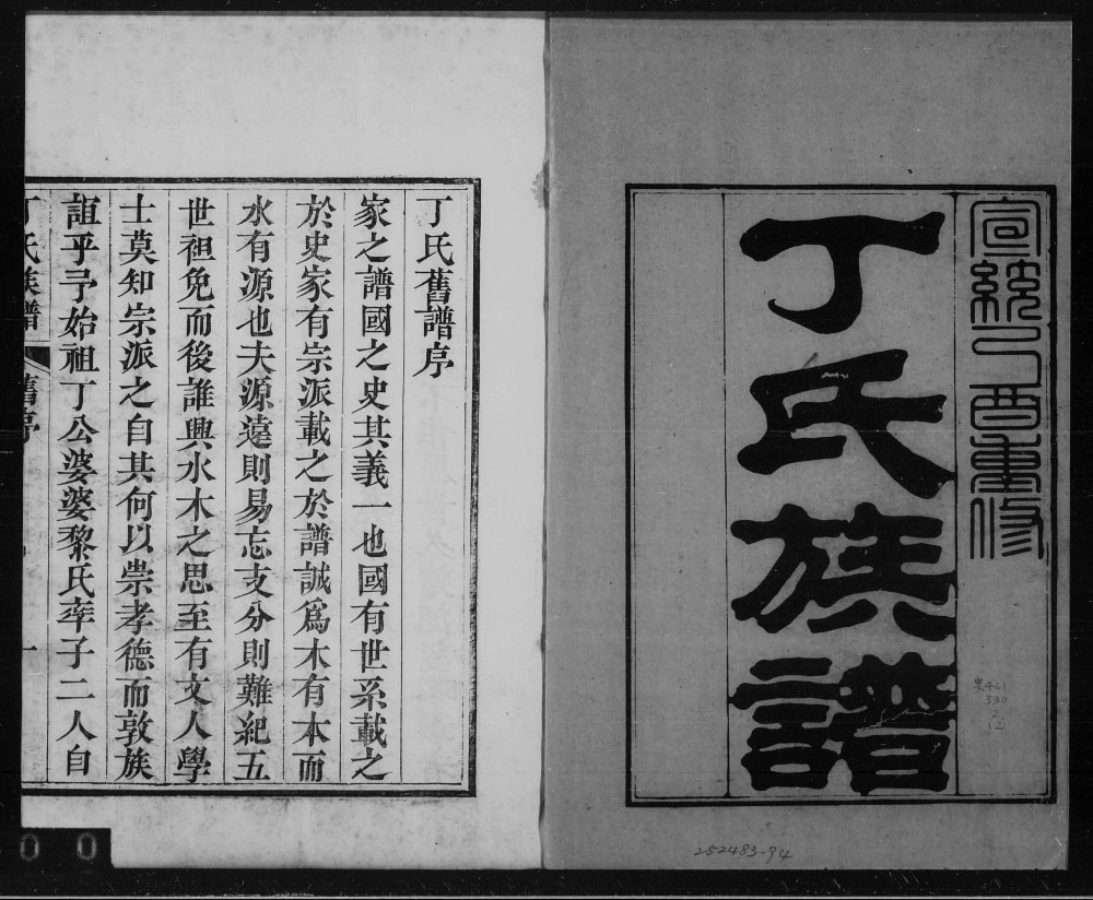 图片[1]-山东烟台龙口丁氏族谱电子版PDF下载-中华家谱网