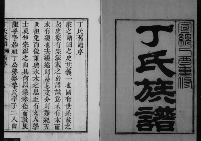 山东烟台龙口丁氏族谱-中华家谱网