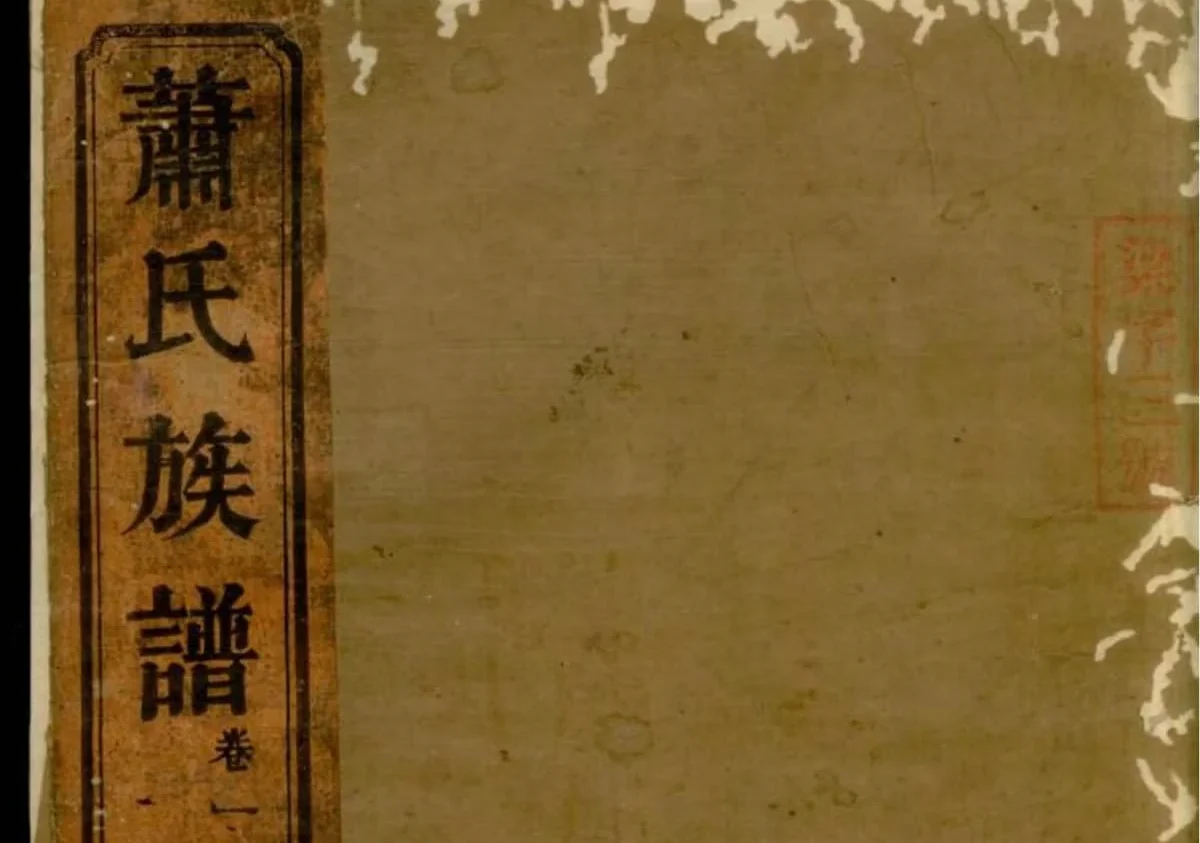 湖南常德武陵萧氏族谱（八叶堂）电子版PDF下载-中华家谱网