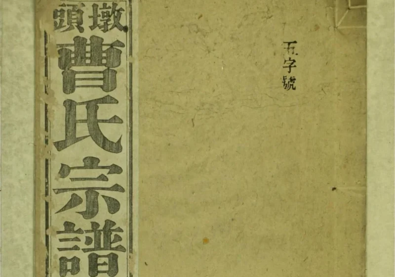安徽池州青阳县墩头曹氏宗谱-中华家谱网