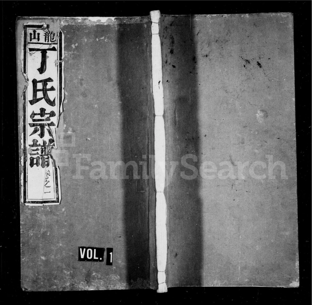图片[1]-安徽芜湖南陵龙山丁氏宗谱电子版PDF下载-中华家谱网