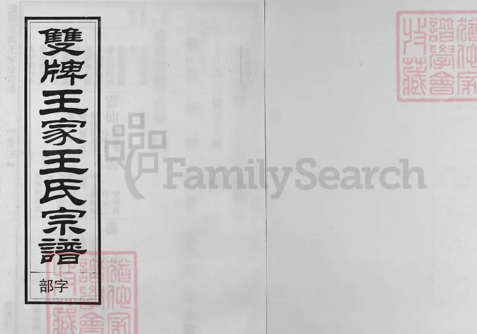 浙江兰溪双牌王氏王家分宗谱（宝训堂）电子版PDF下载-中华家谱网
