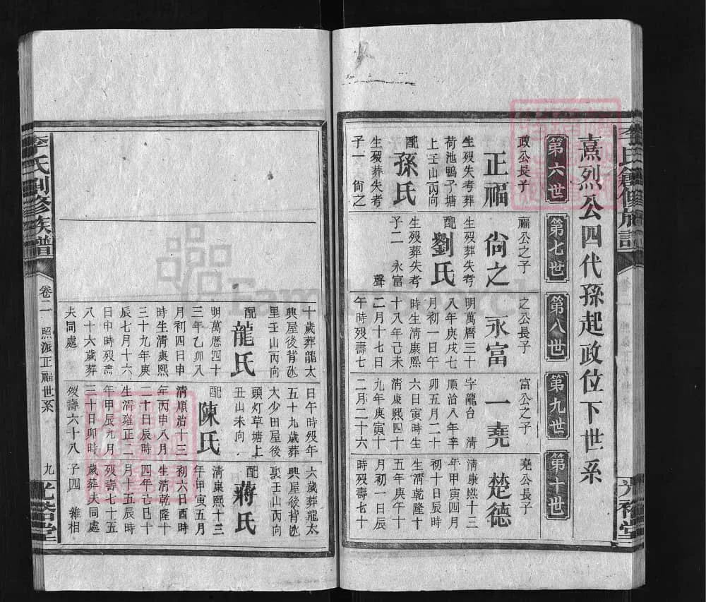 图片[8]-湖南永州东安李氏创修族谱（光裕堂）电子版PDF下载-中华家谱网