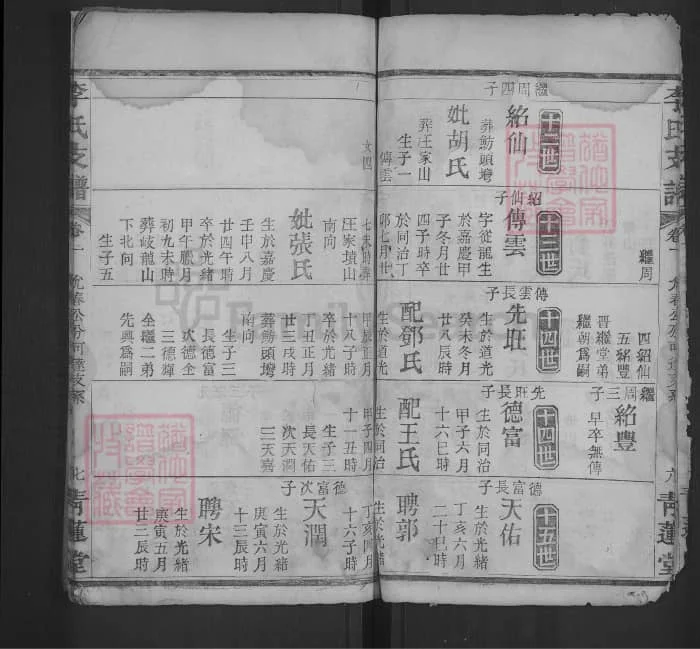 图片[8]-湖北武汉江夏区李氏支谱（青莲堂）电子版PDF下载-中华家谱网