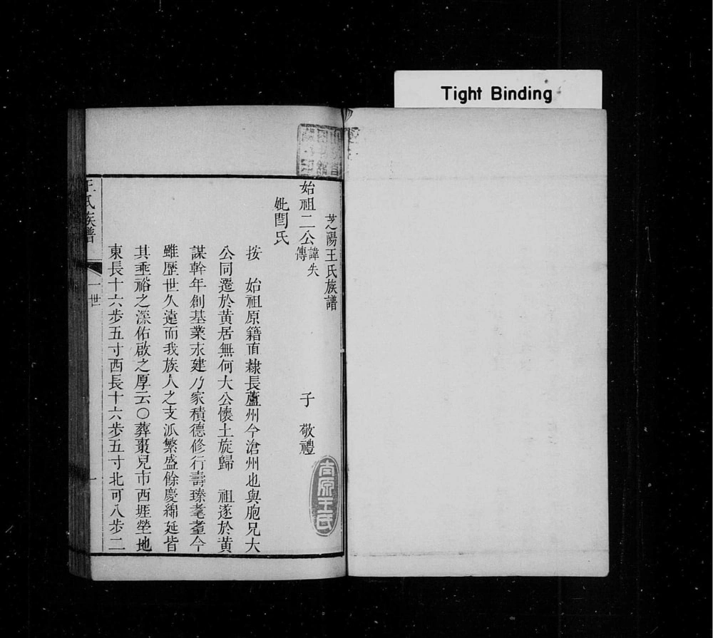 图片[5]-山东龙口黄县太原王氏族谱电子版PDF下载-中华家谱网