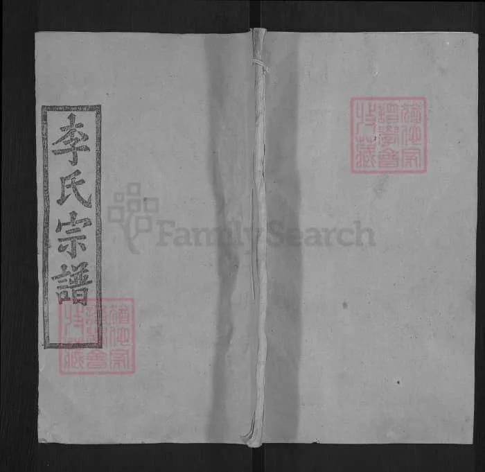 湖北麻城李氏宗谱（青莲堂）电子版PDF下载-中华家谱网