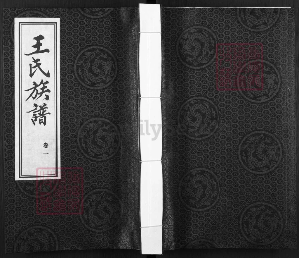 图片[1]-河北邢台宁晋县王氏族谱电子版PDF下载-中华家谱网