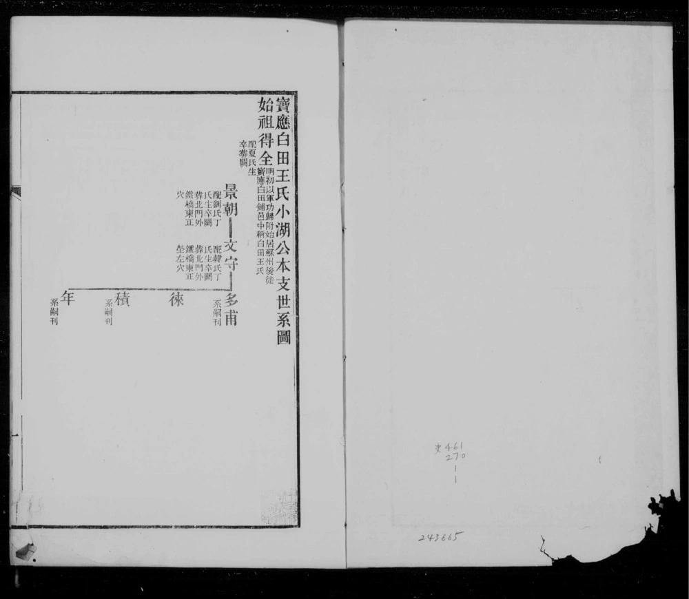 图片[1]-江苏扬州宝应白田王氏小湖公本支世系图电子版PDF下载-中华家谱网