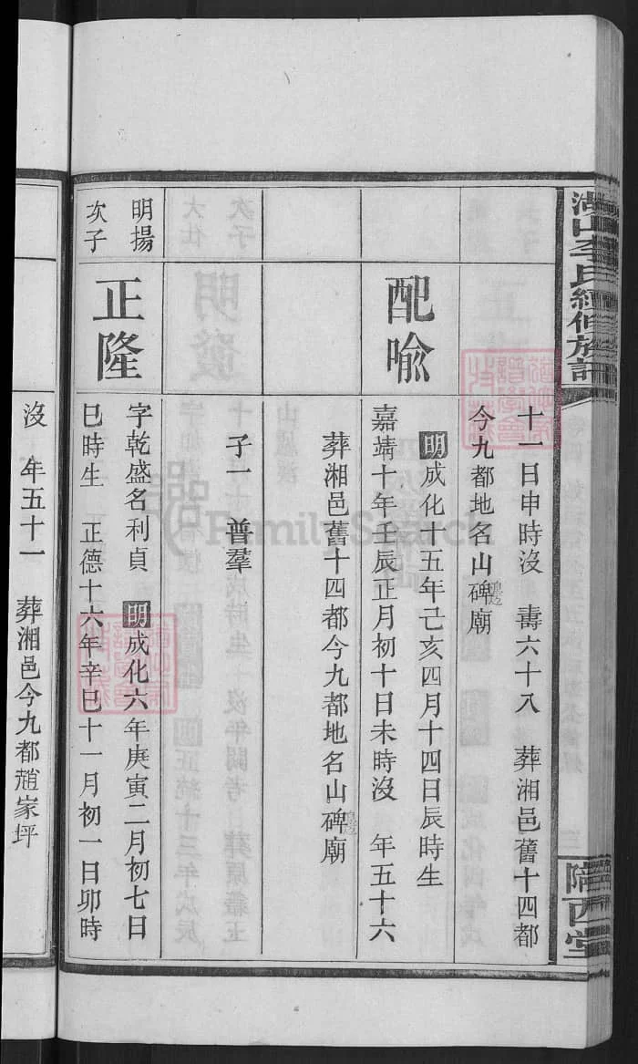 图片[8]-湖南湘乡上湘湖山李氏续修族谱（陇西堂）PDF下载-中华家谱网