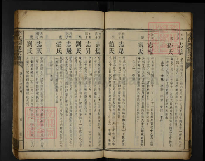 图片[8]-湖南郴州永兴李氏四修族谱（登龙堂）电子版PDF下载-中华家谱网