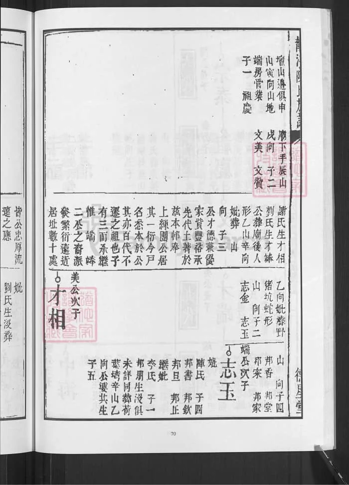 图片[8]-湖南邵阳龙溪陈氏族谱（德星堂）PDF下载-中华家谱网