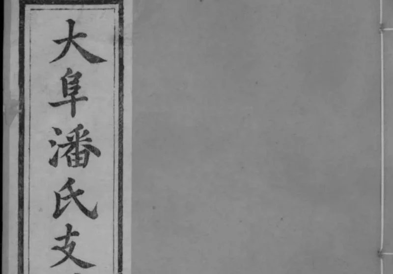 江苏苏州大阜潘氏支谱-中华家谱网