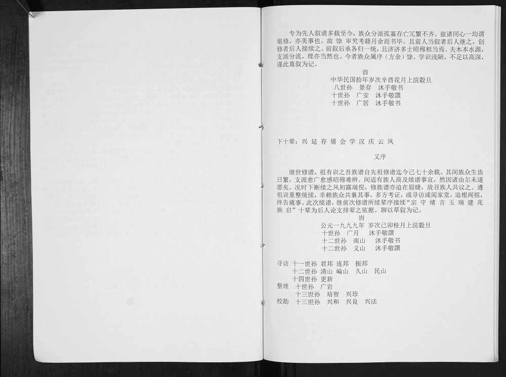 图片[4]-山东泰安东平县王氏族谱电子版PDF下载-中华家谱网