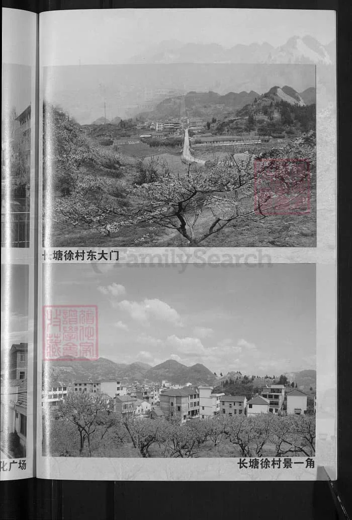 图片[2]-浙江金华金邑七峰徐氏宗谱（善居堂）PDF下载-中华家谱网