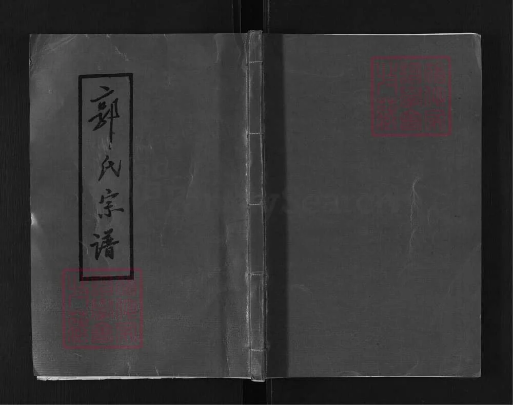 图片[1]-湖南郴州郭氏宗谱（敦本堂）电子版PDF下载-中华家谱网