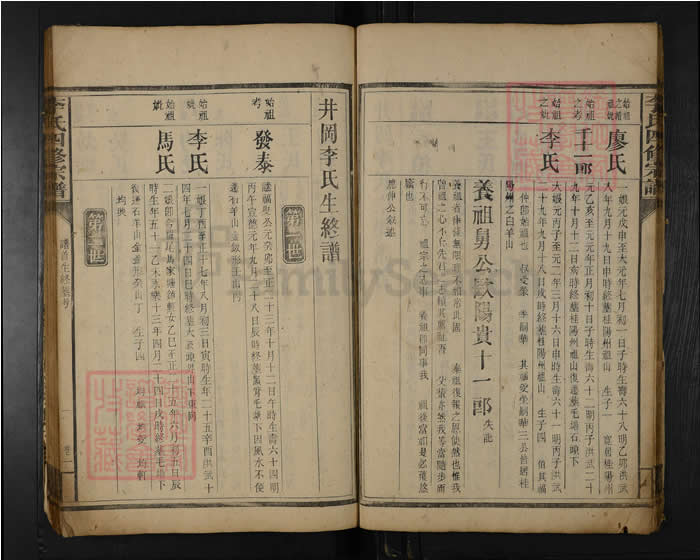 图片[5]-湖南郴州永兴李氏四修族谱（登龙堂）电子版PDF下载-中华家谱网
