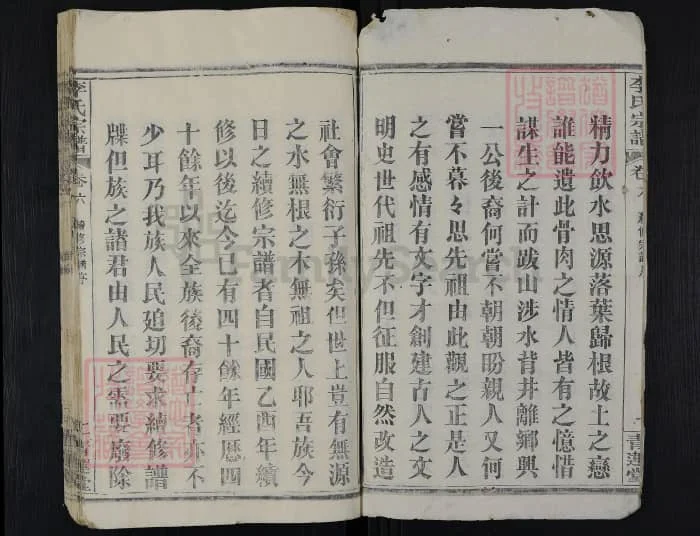 图片[3]-湖北黄冈楚黄李氏宗谱（青莲堂）电子版PDF下载-中华家谱网