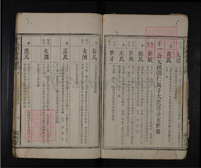 图片[8]-湖南安化李氏续修族谱（陇西堂）电子版PDF下载-中华家谱网