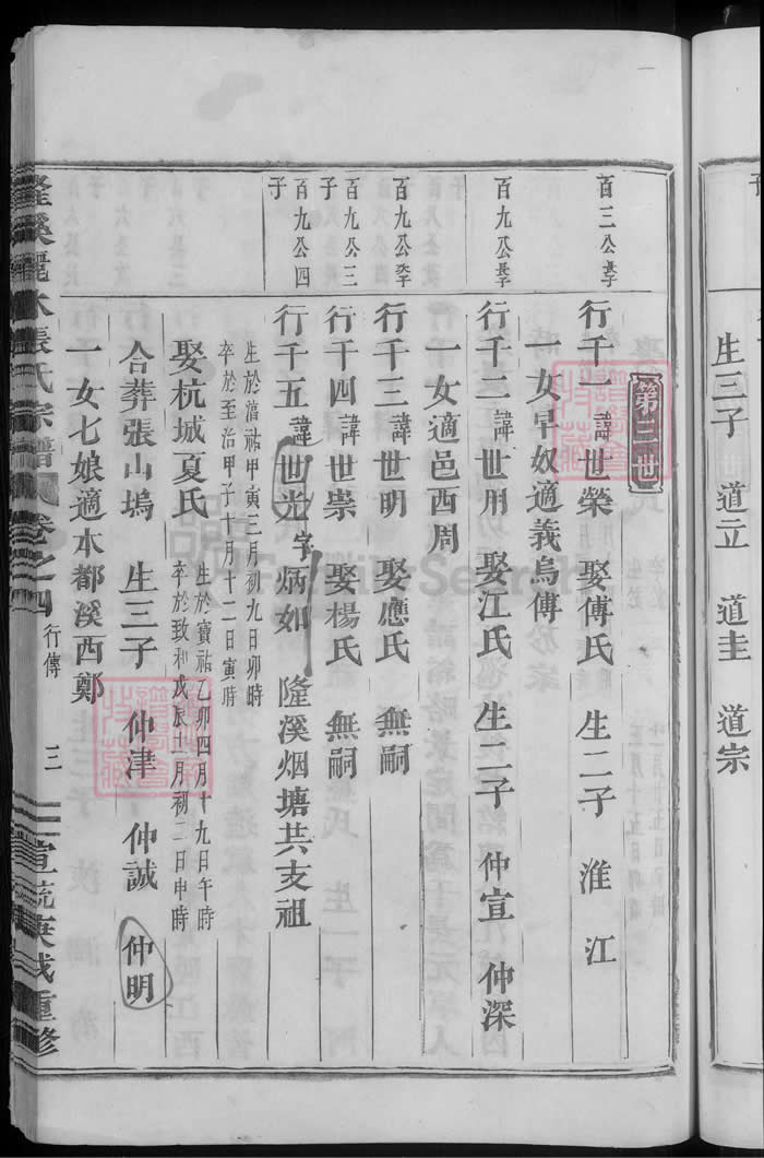 图片[8]-浙江金华浦江隆溪丽水张氏宗谱PDF下载-中华家谱网