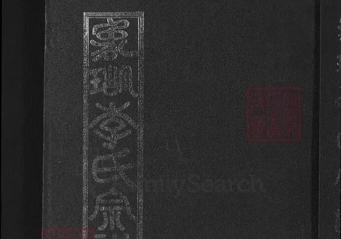 浙江永康象湖李氏宗谱PDF下载-中华家谱网