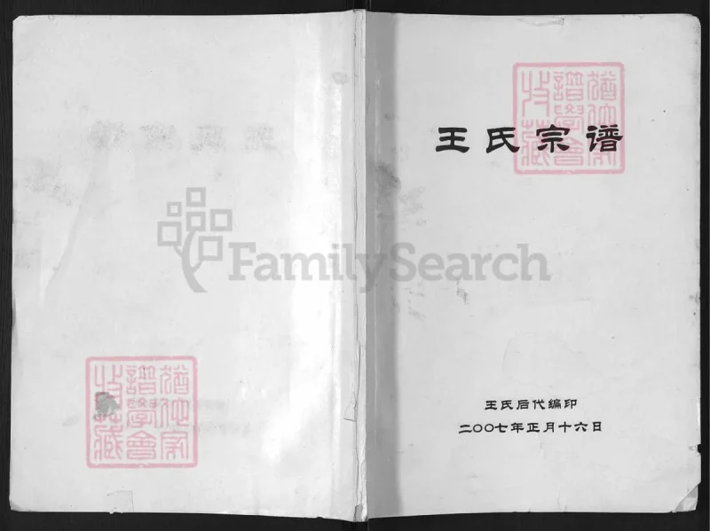 河南南阳淅川县王氏宗谱-中华家谱网