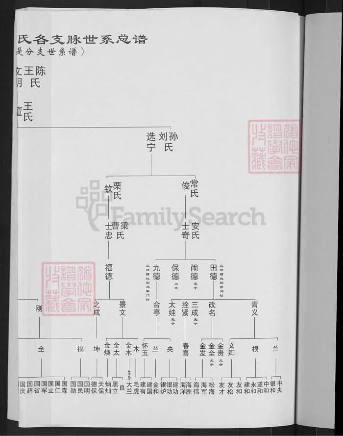 图片[6]-河南登封高氏家谱PDF下载-中华家谱网