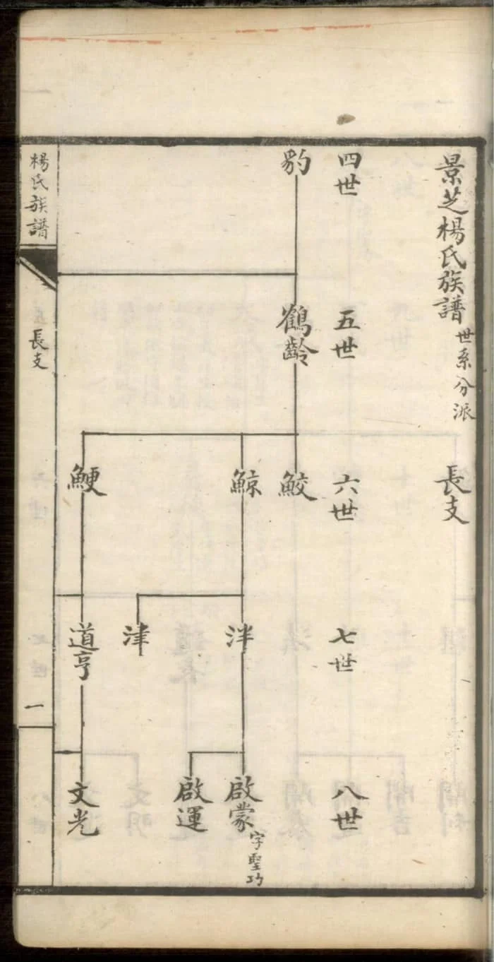 图片[6]-山东安丘杨氏族谱电子版PDF下载-中华家谱网