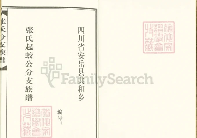 四川资阳安岳张氏起蛟公分支族谱-中华家谱网