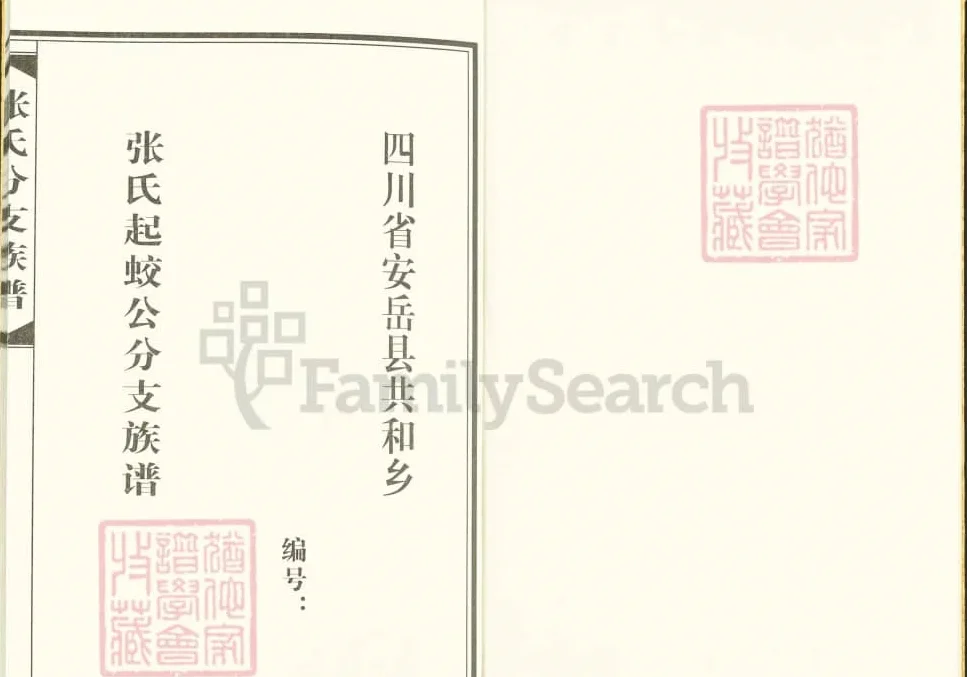 四川资阳安岳张氏起蛟公分支族谱电子版PDF下载-中华家谱网