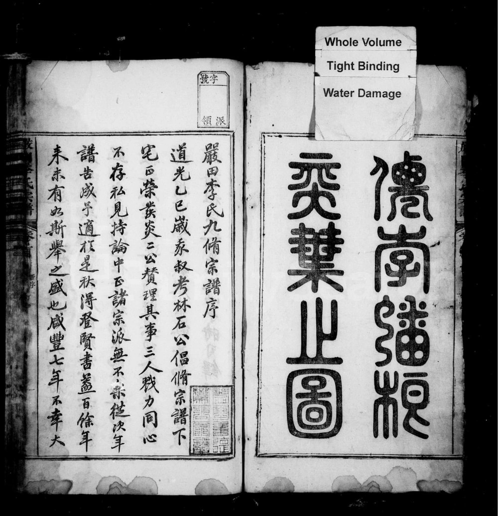 图片[2]-江西上饶婺源星江严田李氏宗谱电子版PDF下载-中华家谱网
