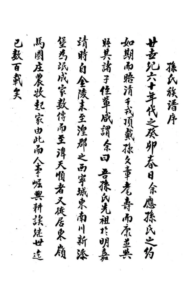图片[2]-青海西宁湟东孙氏家谱PDF下载-中华家谱网
