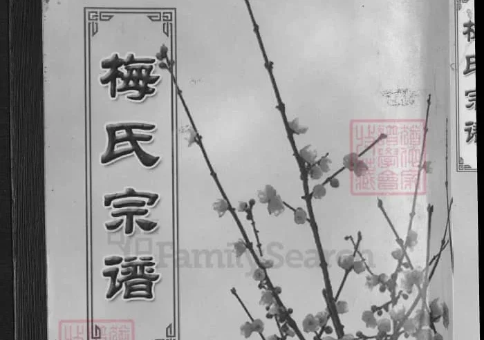 梅氏宗谱（湖北武汉黄陂陂南篇）PDF下载-中华家谱网