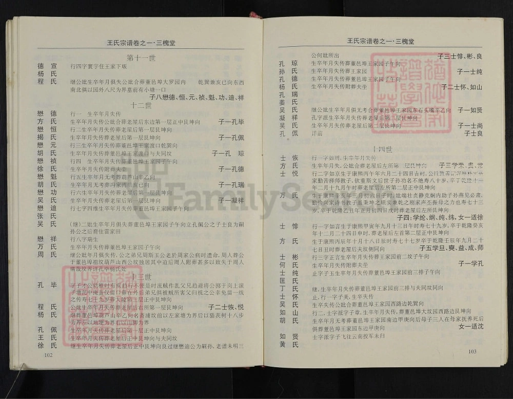 图片[7]-湖北武汉黄陂区王氏宗谱（三槐堂）电子版PDF下载-中华家谱网