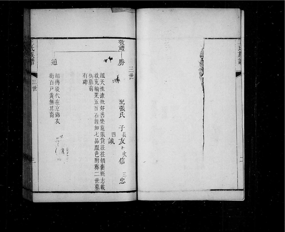 图片[7]-山东龙口黄县太原王氏族谱电子版PDF下载-中华家谱网