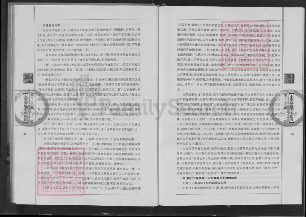 图片[8]-湖北荆门王家草场王氏族谱（三槐堂）电子版PDF下载-中华家谱网