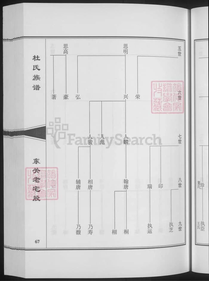 图片[5]-山西阳泉平定杜氏族谱PDF下载-中华家谱网