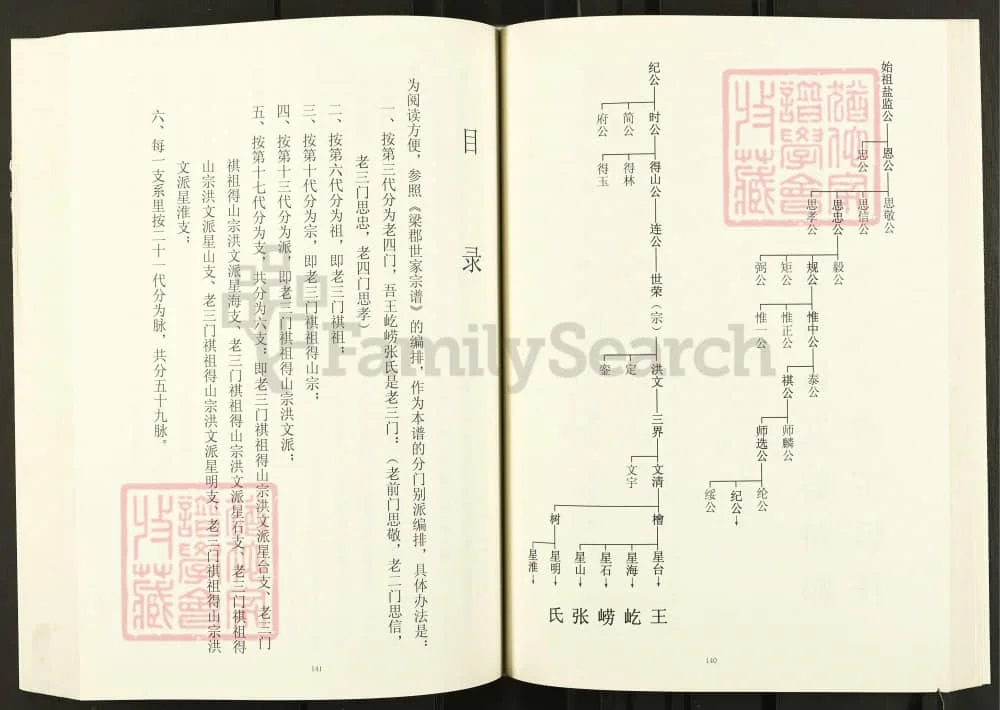 图片[4]-河南巩义王屹崂张氏家谱电子版PDF下载-中华家谱网