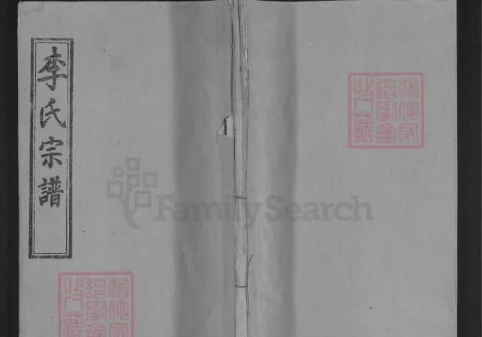 湖北麻城李氏宗谱（青莲堂，92年本）电子版PDF下载-中华家谱网