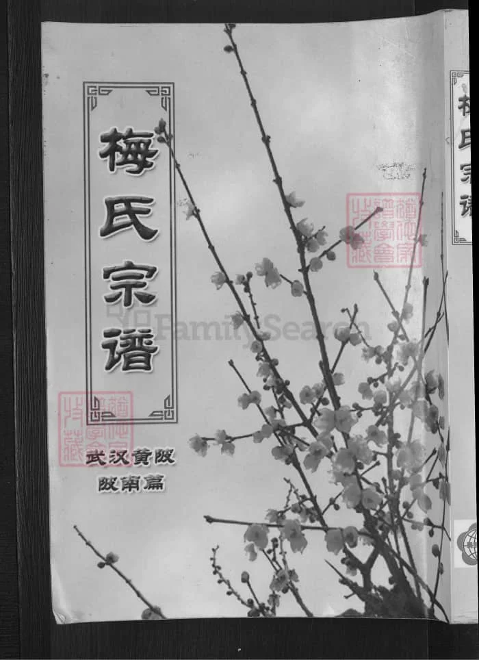 图片[1]-梅氏宗谱（湖北武汉黄陂陂南篇）PDF下载-中华家谱网