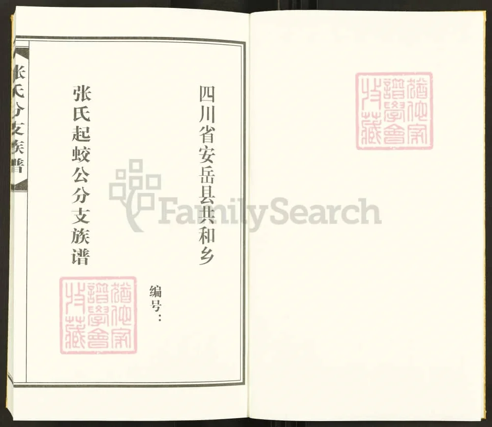 图片[2]-四川资阳安岳张氏起蛟公分支族谱电子版PDF下载-中华家谱网