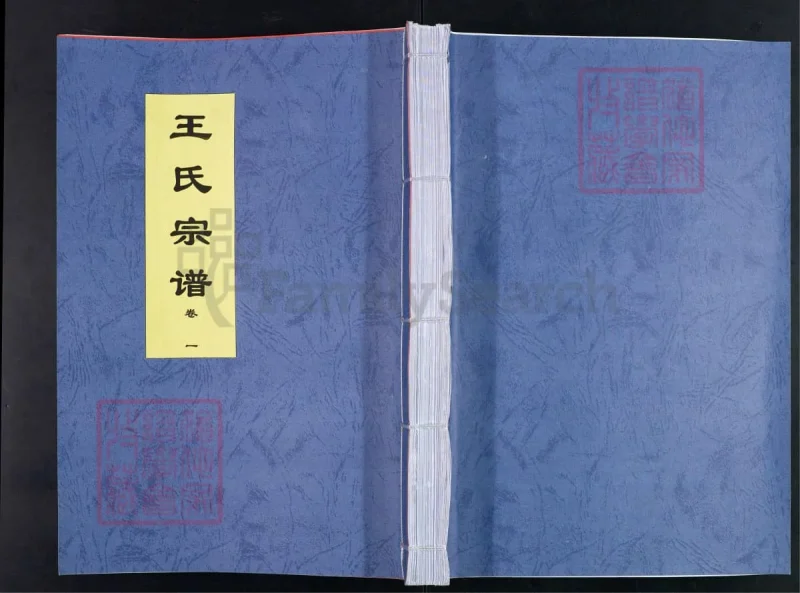 安徽合肥王氏宗谱（三槐堂，彦二）-中华家谱网
