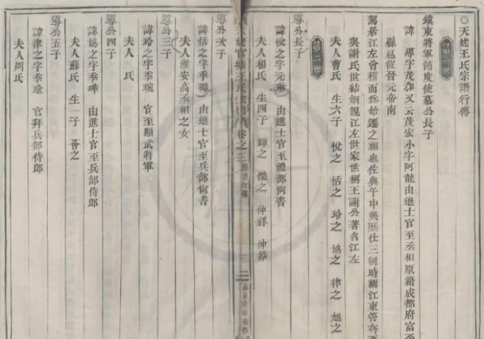 浙江绍兴新昌天姥官塘王氏宗谱-中华家谱网