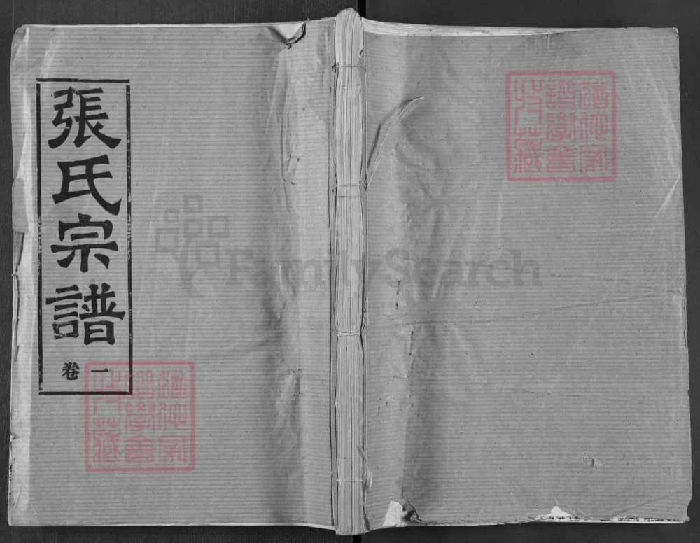 图片[1]-湖北汉川张氏宗谱（南轩堂）电子版PDF下载-中华家谱网
