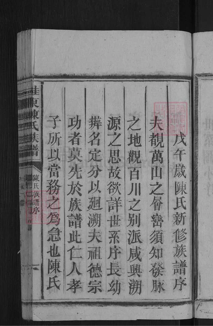 图片[3]-湖南桂东陈氏族谱PDF下载-中华家谱网