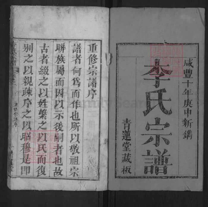 图片[1]-湖北黄冈红安安邑李氏宗谱（青莲堂）电子版PDF下载-中华家谱网