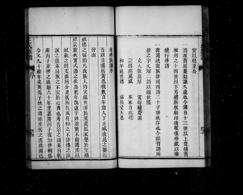 图片[3]-山东龙口黄县太原王氏族谱电子版PDF下载-中华家谱网