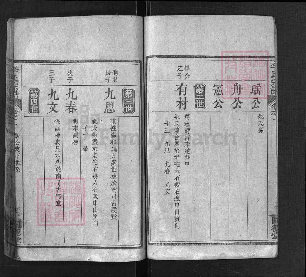 图片[8]-湖北麻城河南商城李氏宗谱合谱（同德堂）电子版PDF下载-中华家谱网