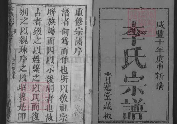 湖北黄冈红安安邑李氏宗谱（青莲堂）电子版PDF下载-中华家谱网