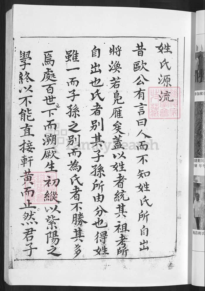 图片[3]-梅氏宗谱（湖北武汉黄陂陂南篇）PDF下载-中华家谱网