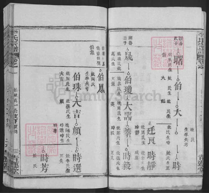 图片[6]-湖北麻城李氏宗谱（青莲堂）电子版PDF下载-中华家谱网
